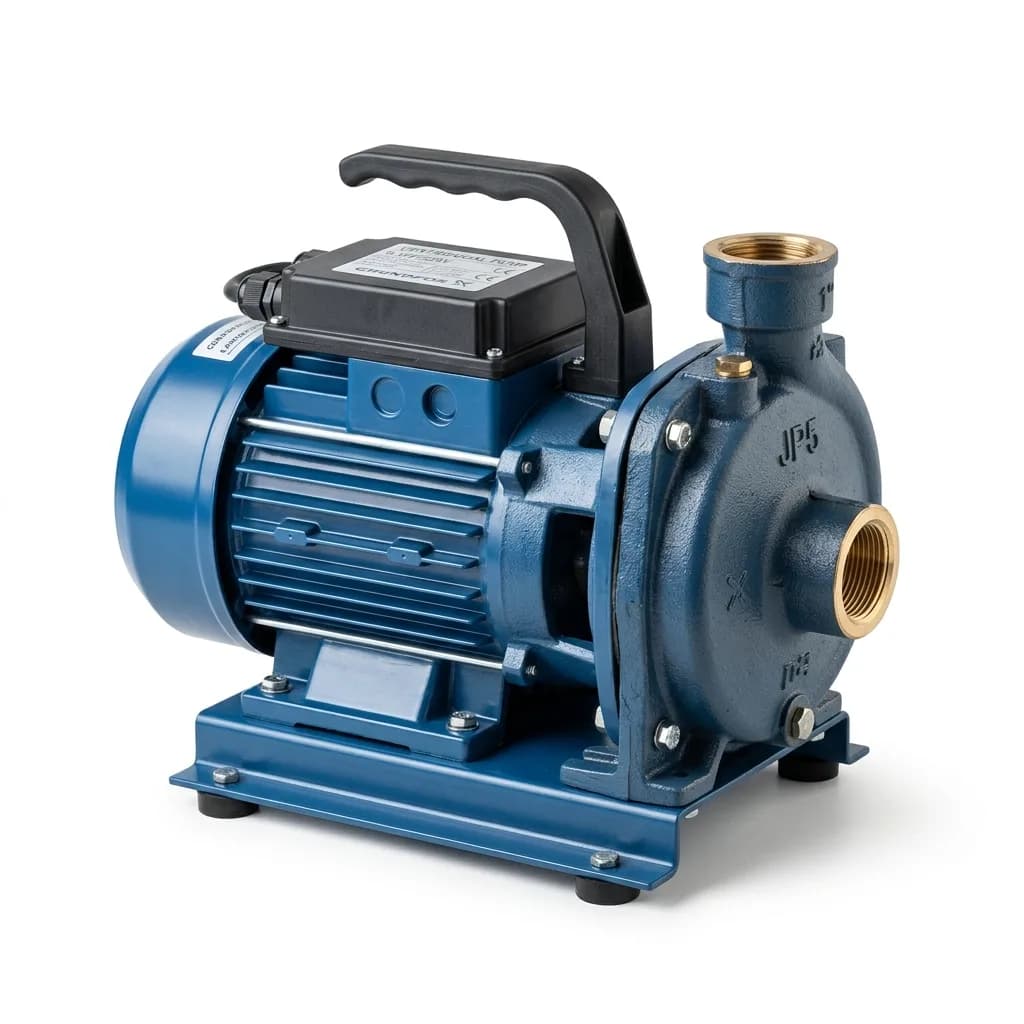 Surface mounted water transfer pump with cast iron casing
